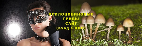 хмурый Волоколамск