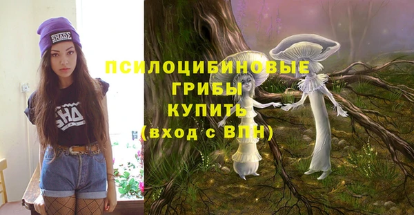 хмурый Волоколамск