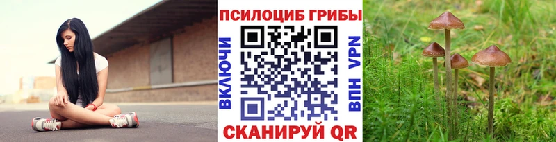 сайты даркнета как зайти  kraken ССЫЛКА  Псилоцибиновые грибы прущие грибы  Гаджиево  цены  